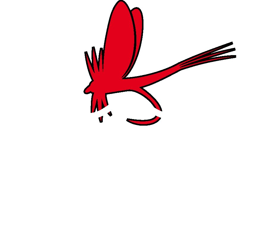 Troutfishing Germany